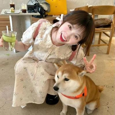 口碑好剧专区